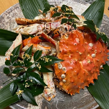 katsumata
