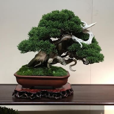 佐藤雅史