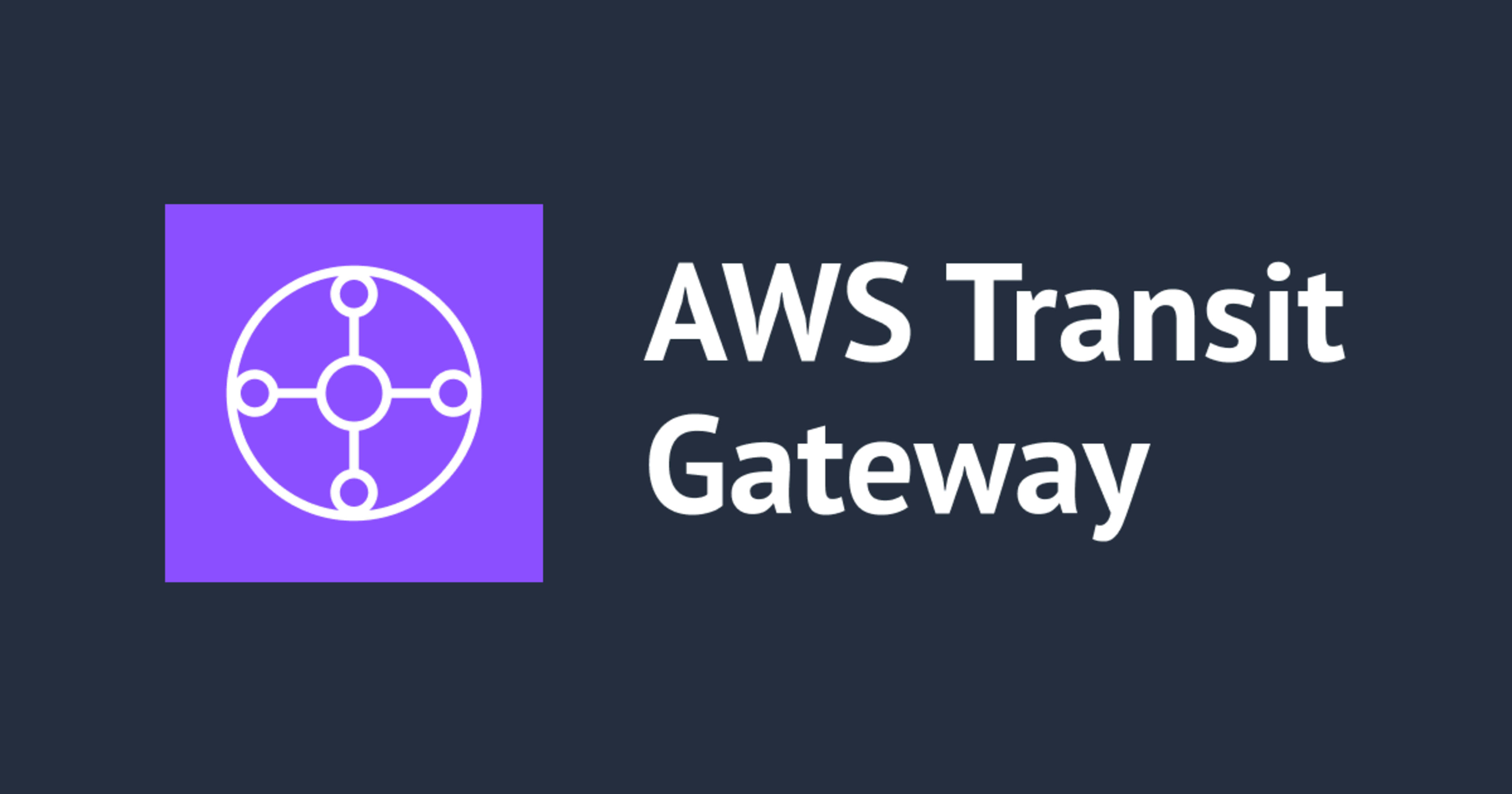 Transit Gateway の 1:1 NAT で CIDR が重複した 2 つの VPC をつないでみた