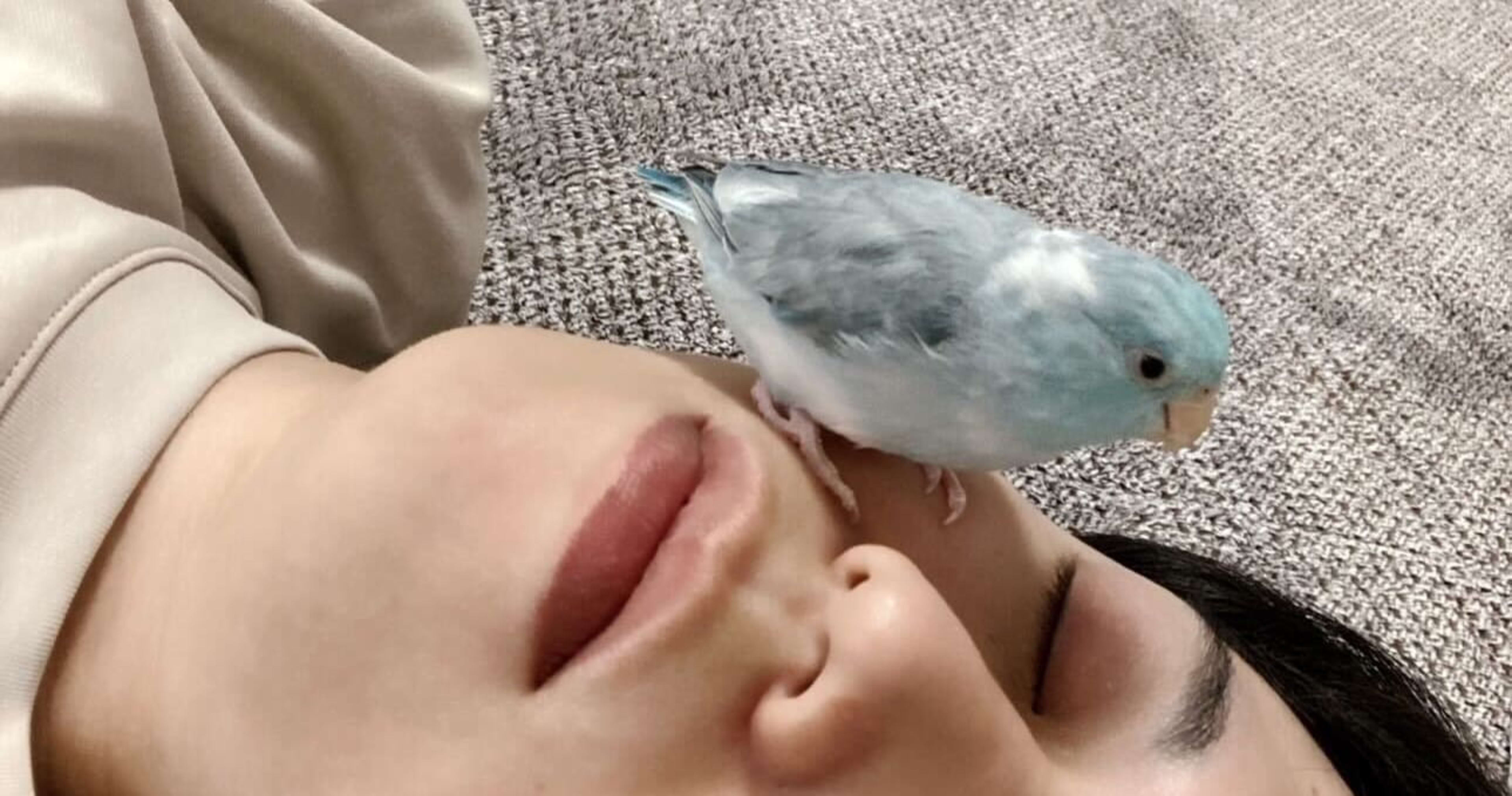 はじめまして、ともぞうです。