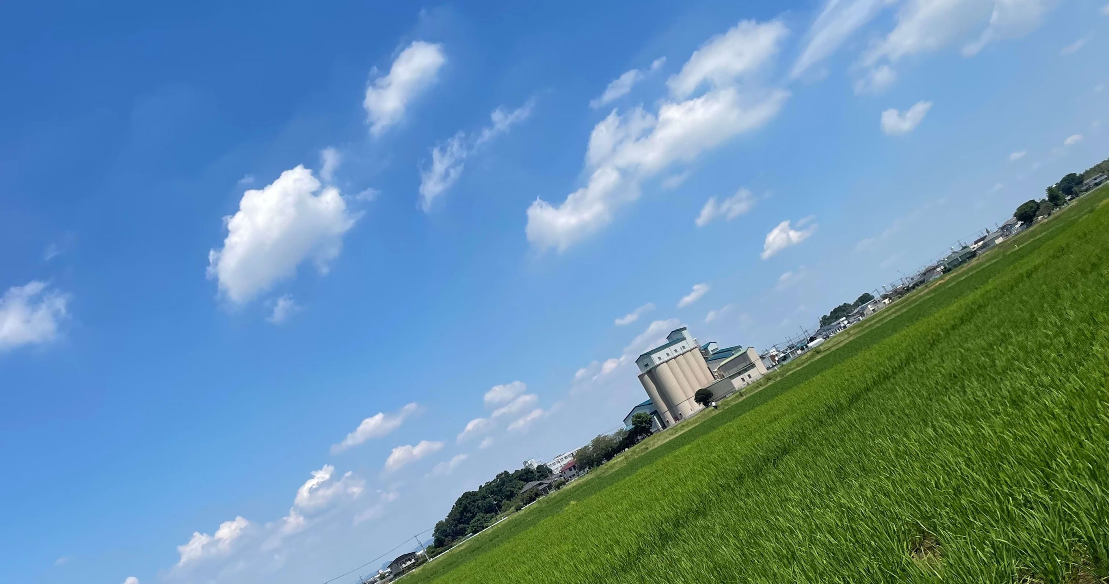 アノテーション新入社員の岩崎智哉です!