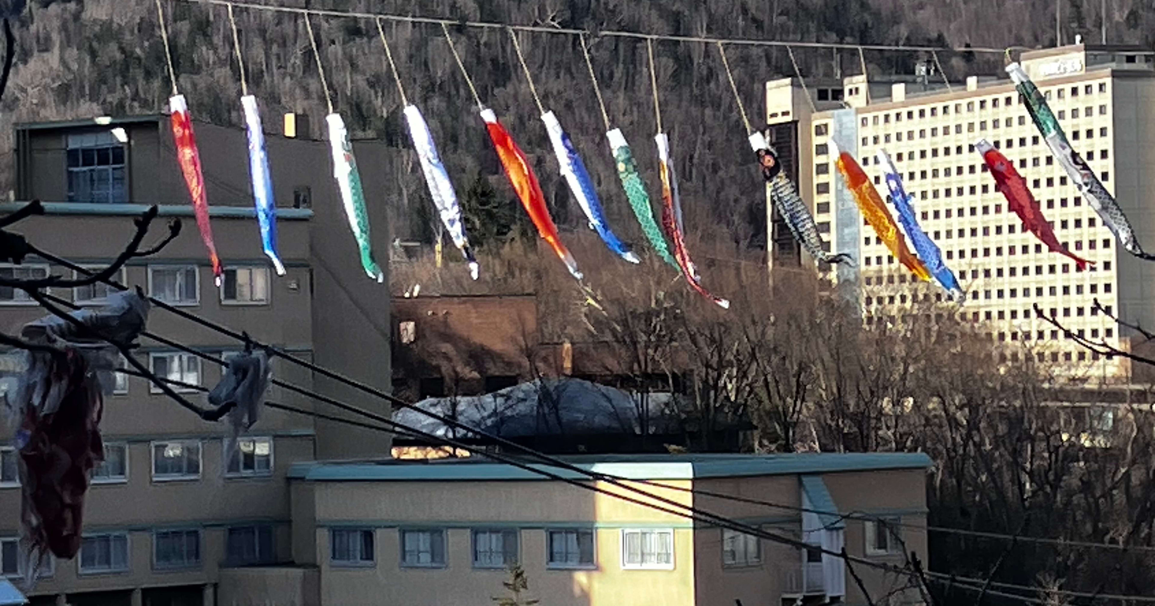 北海道営業部にジョインした古賀です!