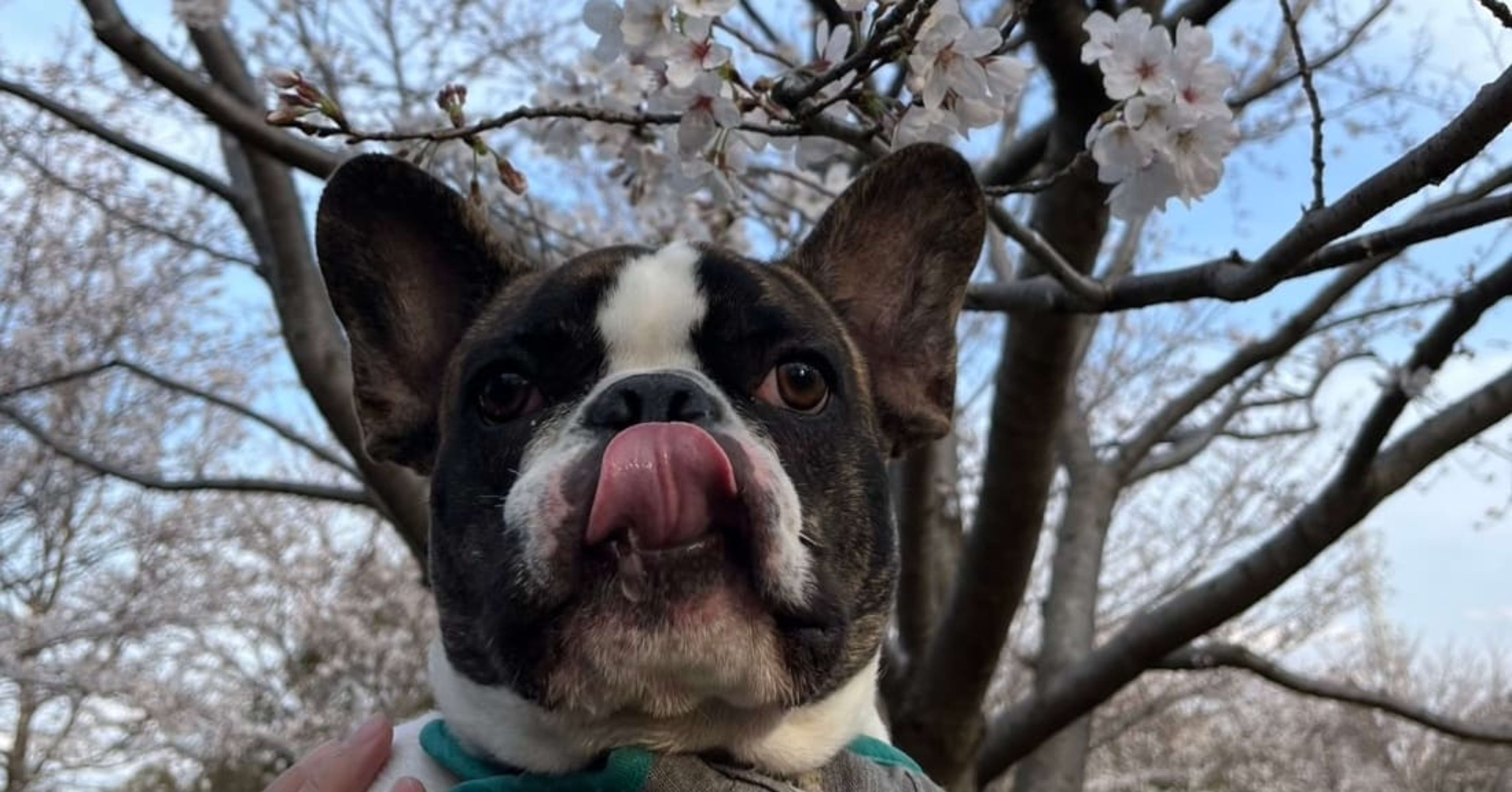 2025年7月にクラスメソッド社 製造ビジネステクノロジー部にジョインした吉田です。