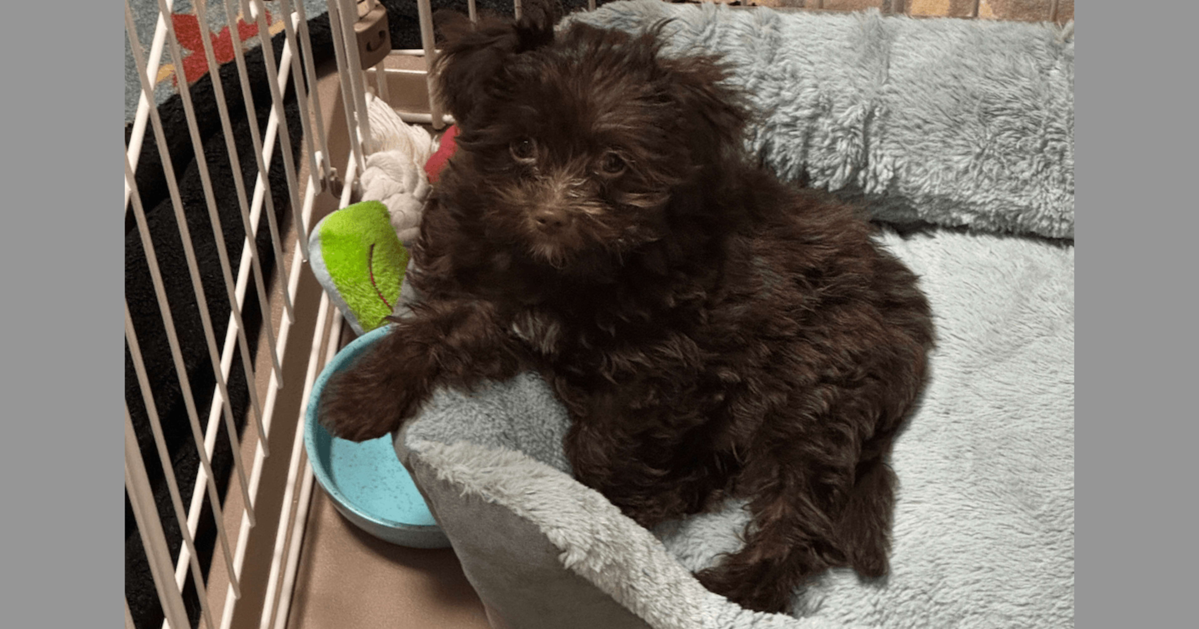 クラスメソッドオペレーションズにジョインしました安藤です！