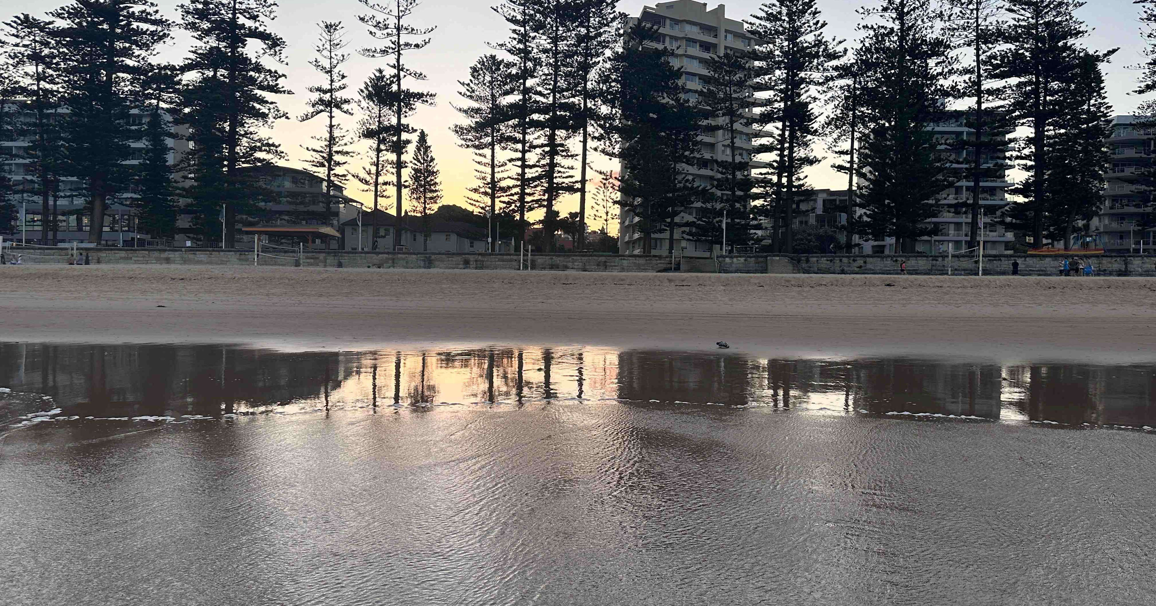 AI事業本部にジョインしました市田です!