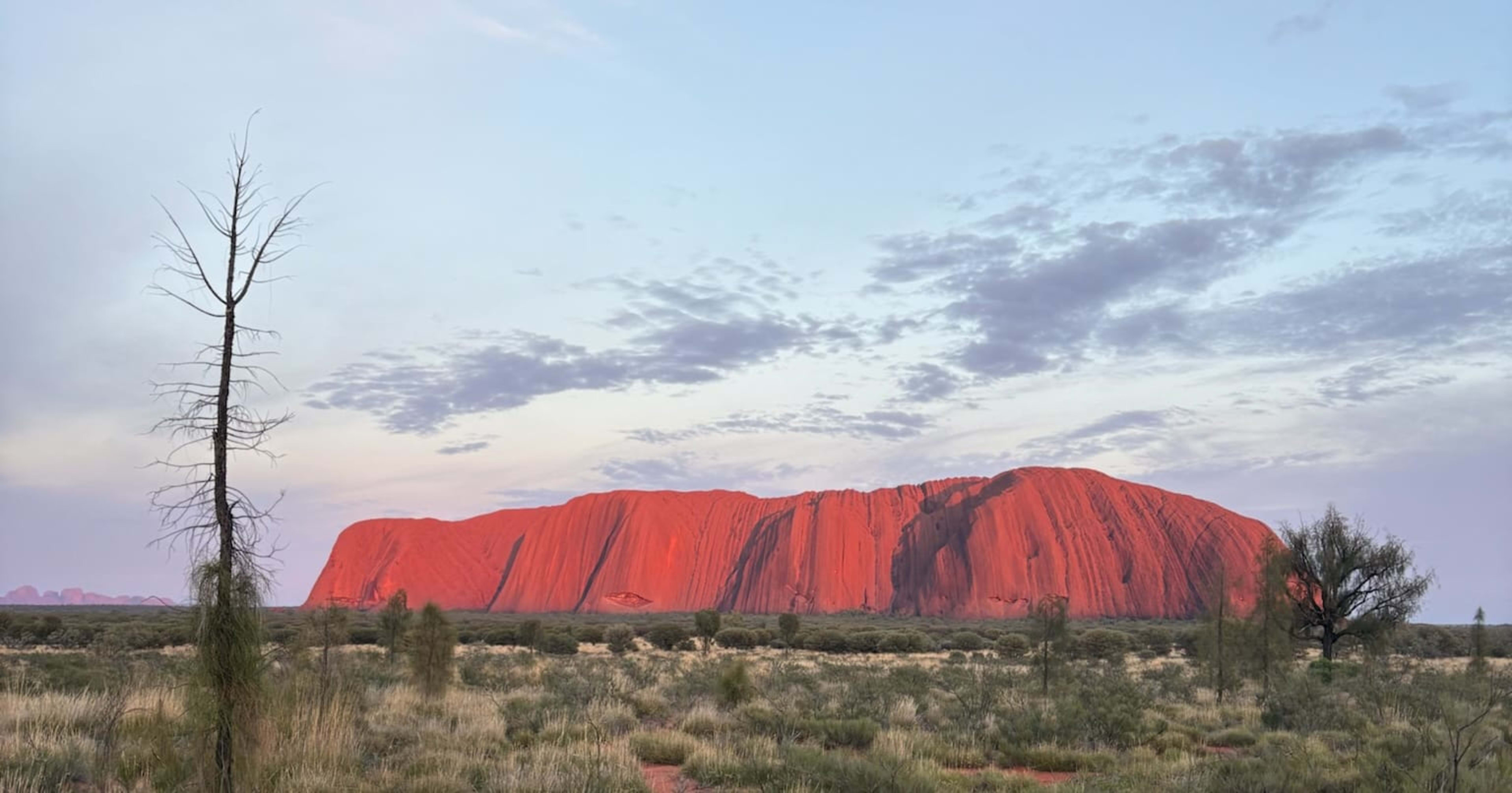 AI事業本部にジョインした石川です。