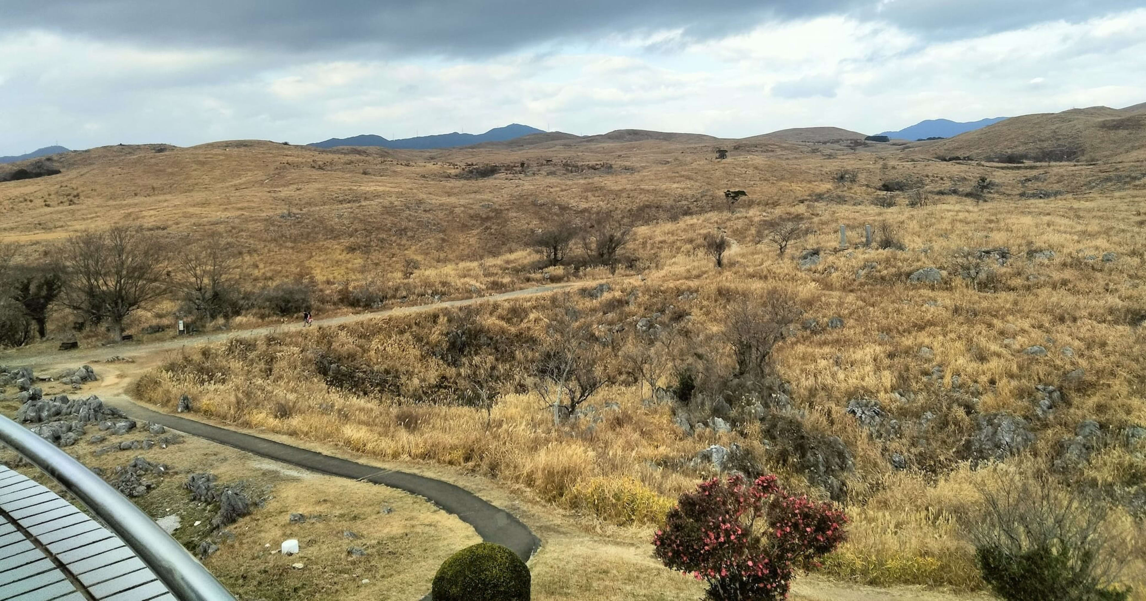 クラウド事業本部コンサルティング部にジョインしました、吉井です。