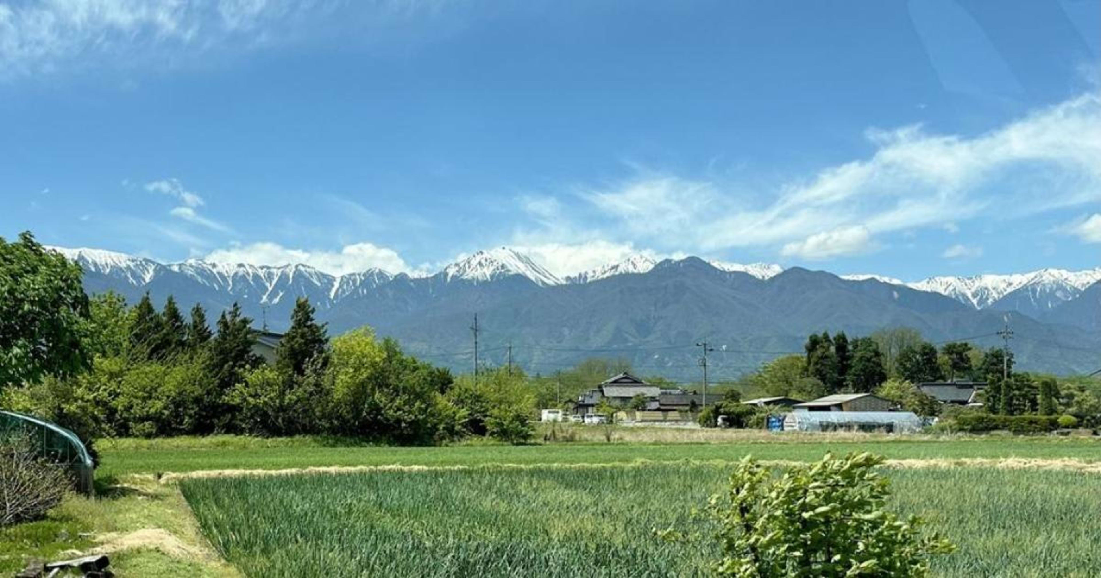 クラウド事業本部コンサルティング部にジョインしました!阿部です。