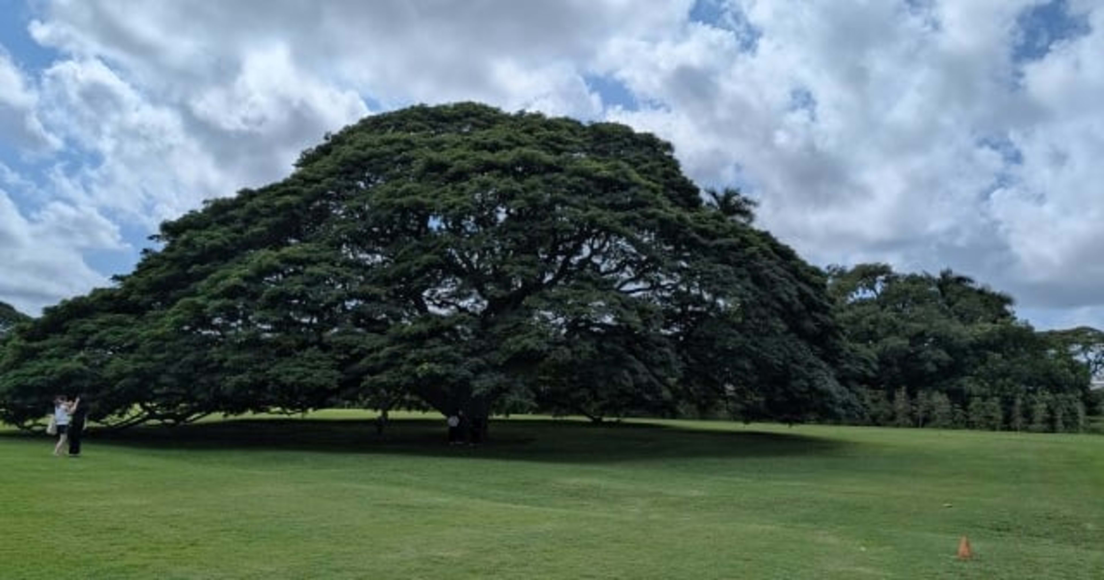 製造ビジネステクノロジー部にジョインしました細見です。