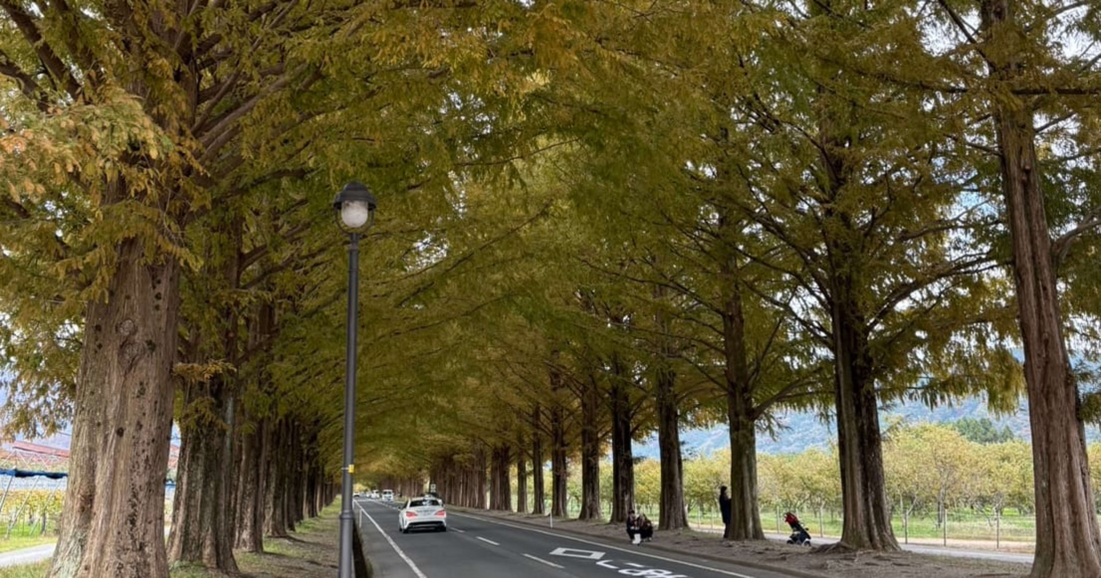 生成AIインテグレーション部にインターン生としてジョインしました、清水です！