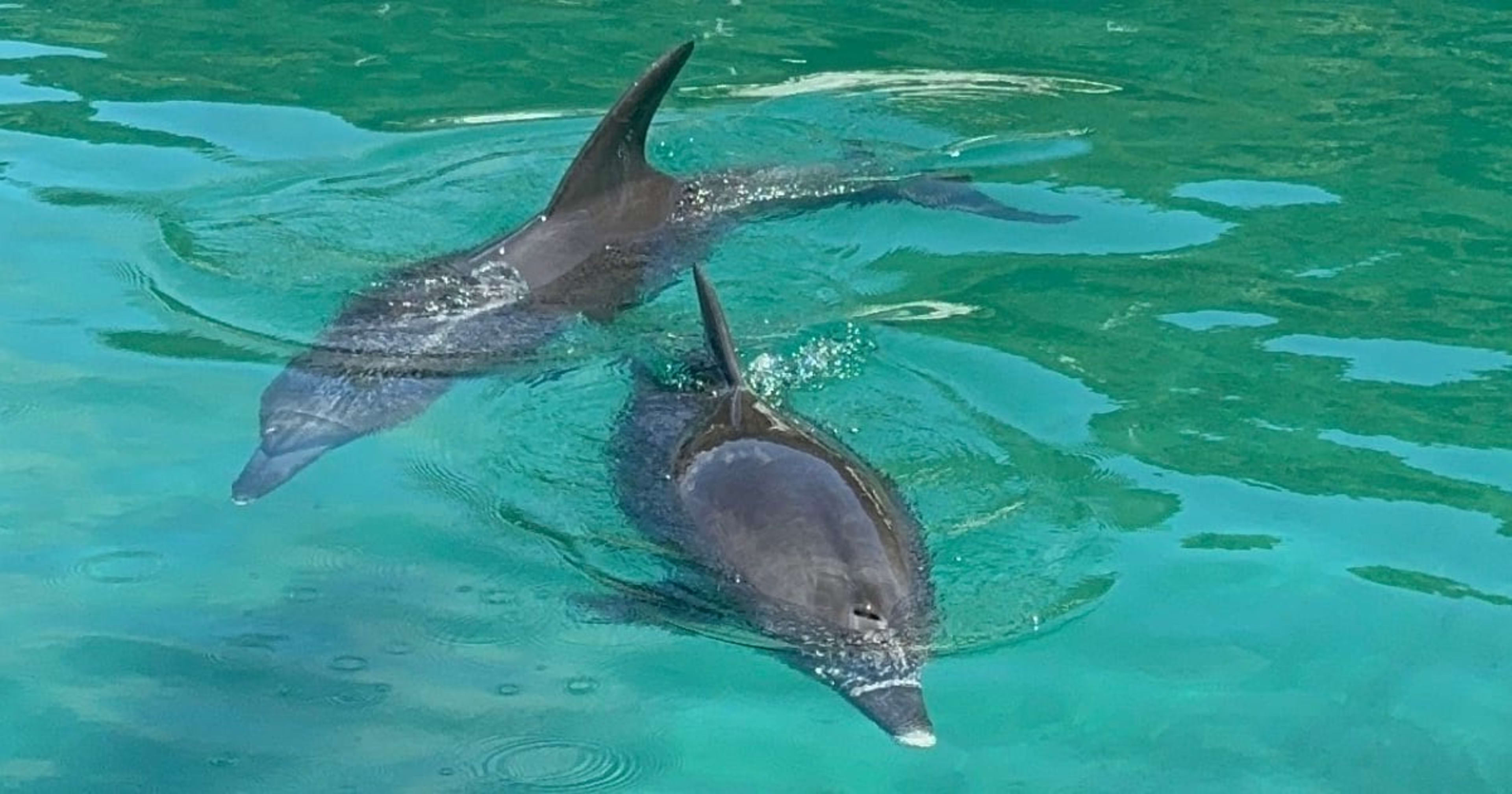 リテールアプリ共創部にジョインした、野村です。