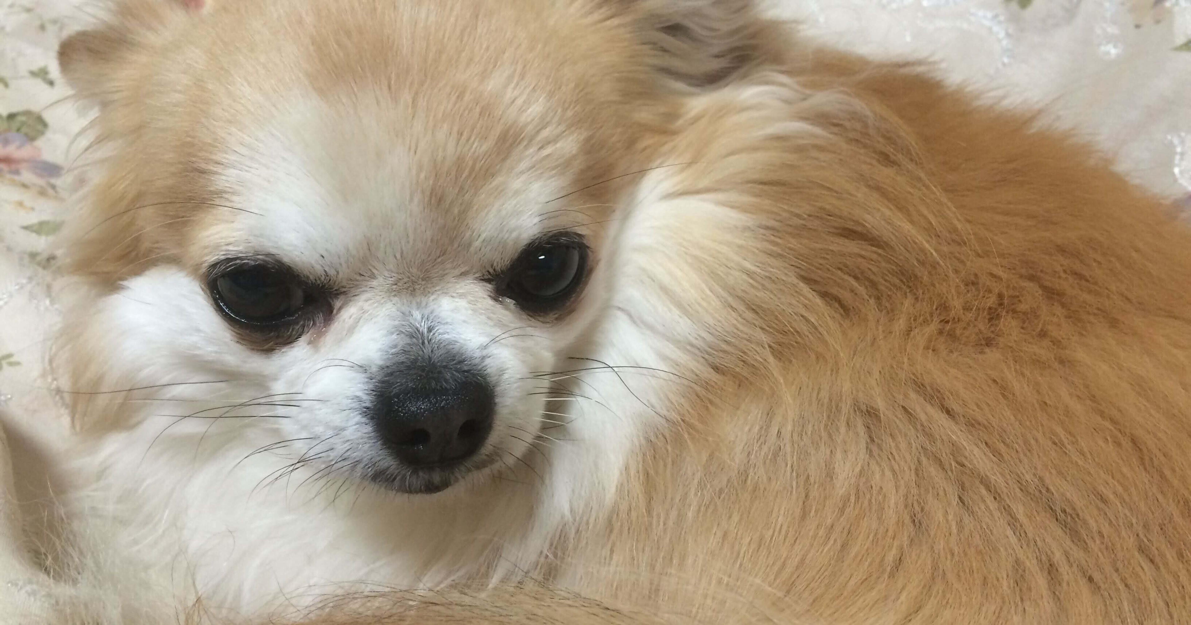 クラスメソッドオペレーションズにジョインしました菊池です!