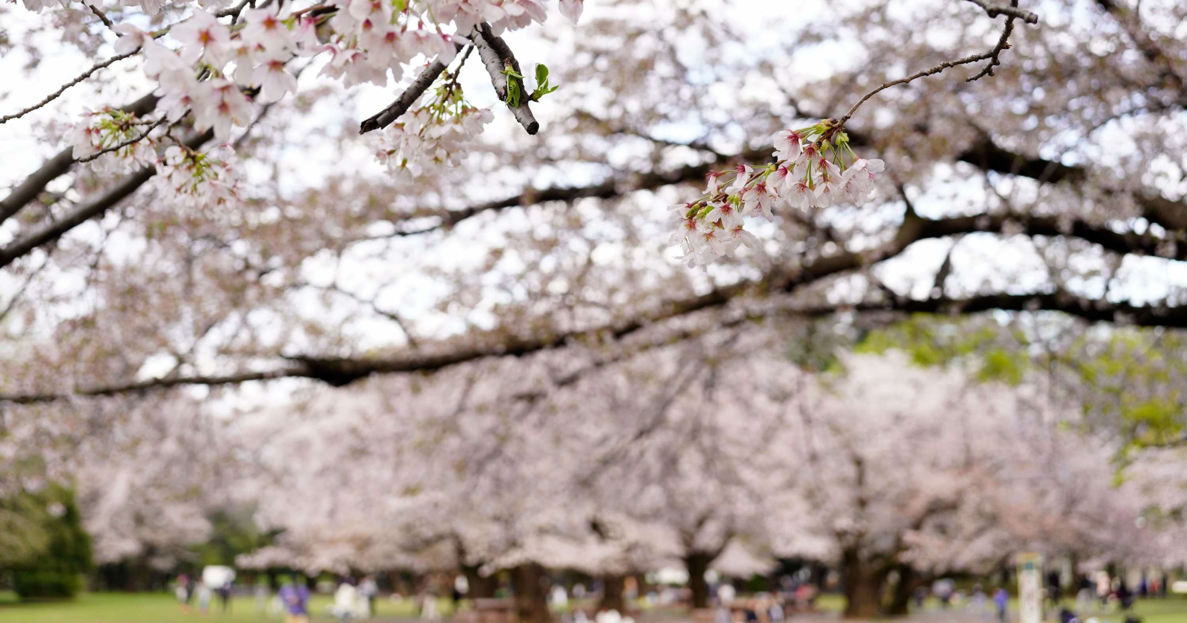 26新卒としてジョインした大山です！