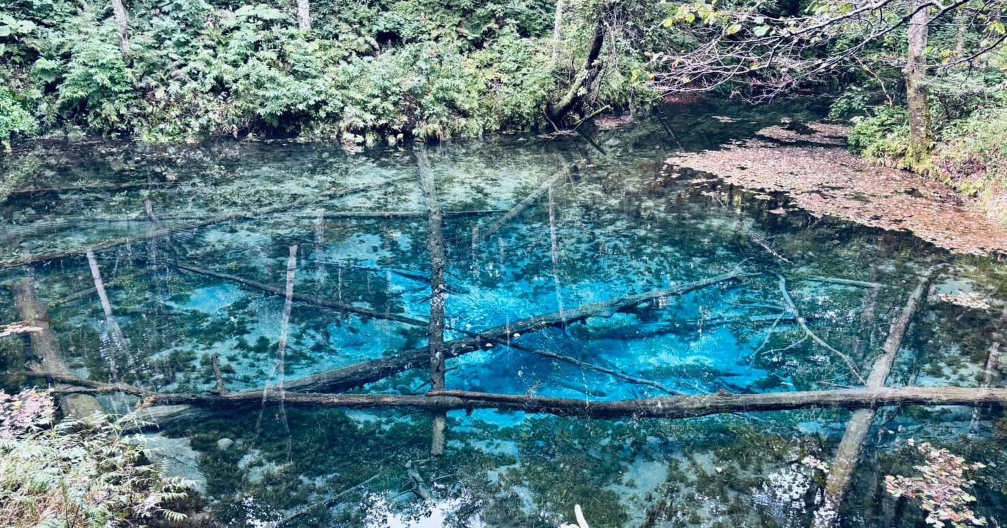 新卒でクラスメソッドオペレーションズにジョインした、藤瀨と申します。