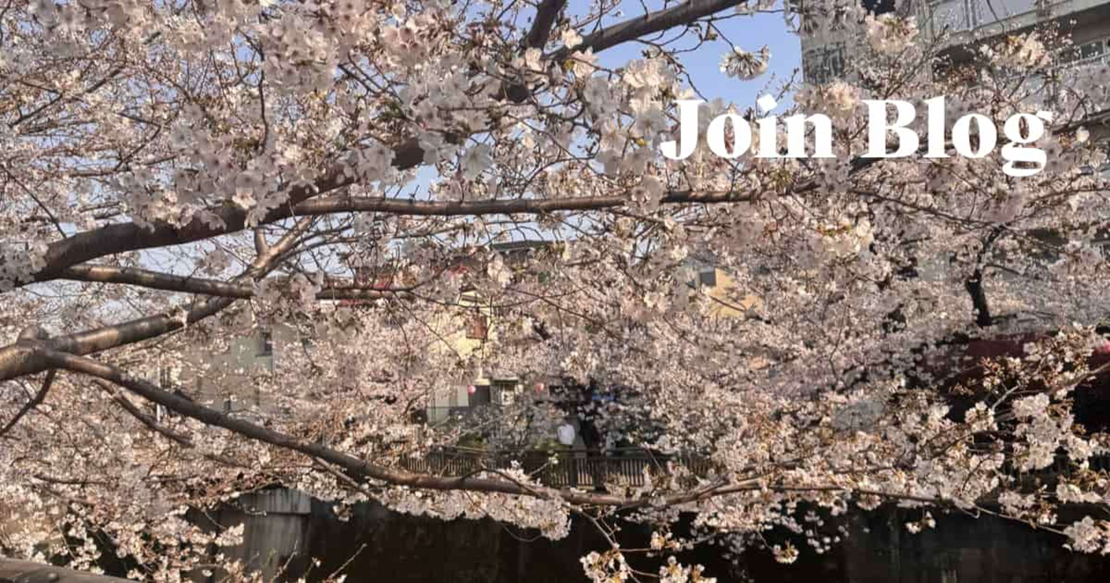 初めまして、マーケ企画室にジョインしました。