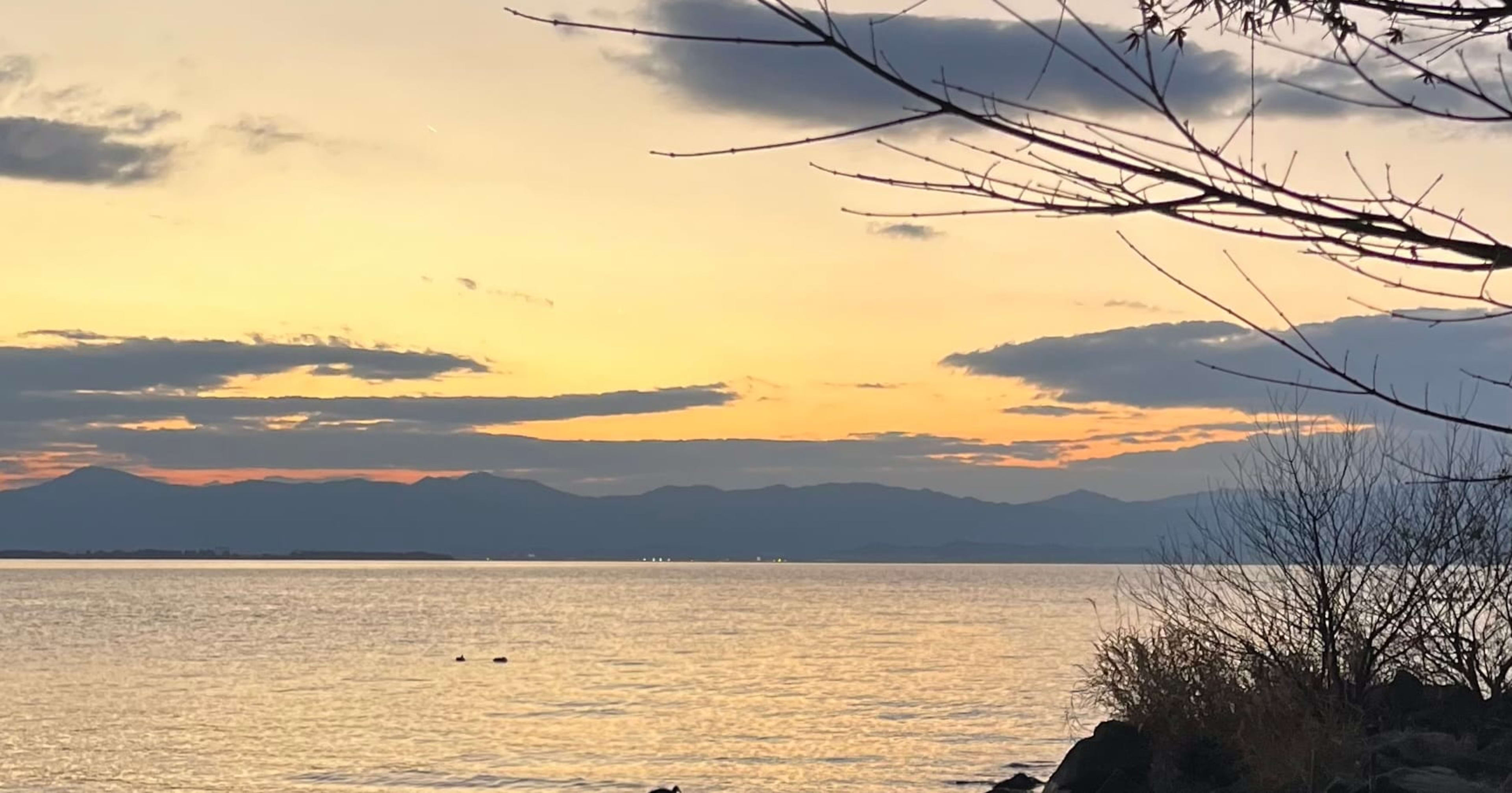 広域営業部にジョインしたMizukamiです！