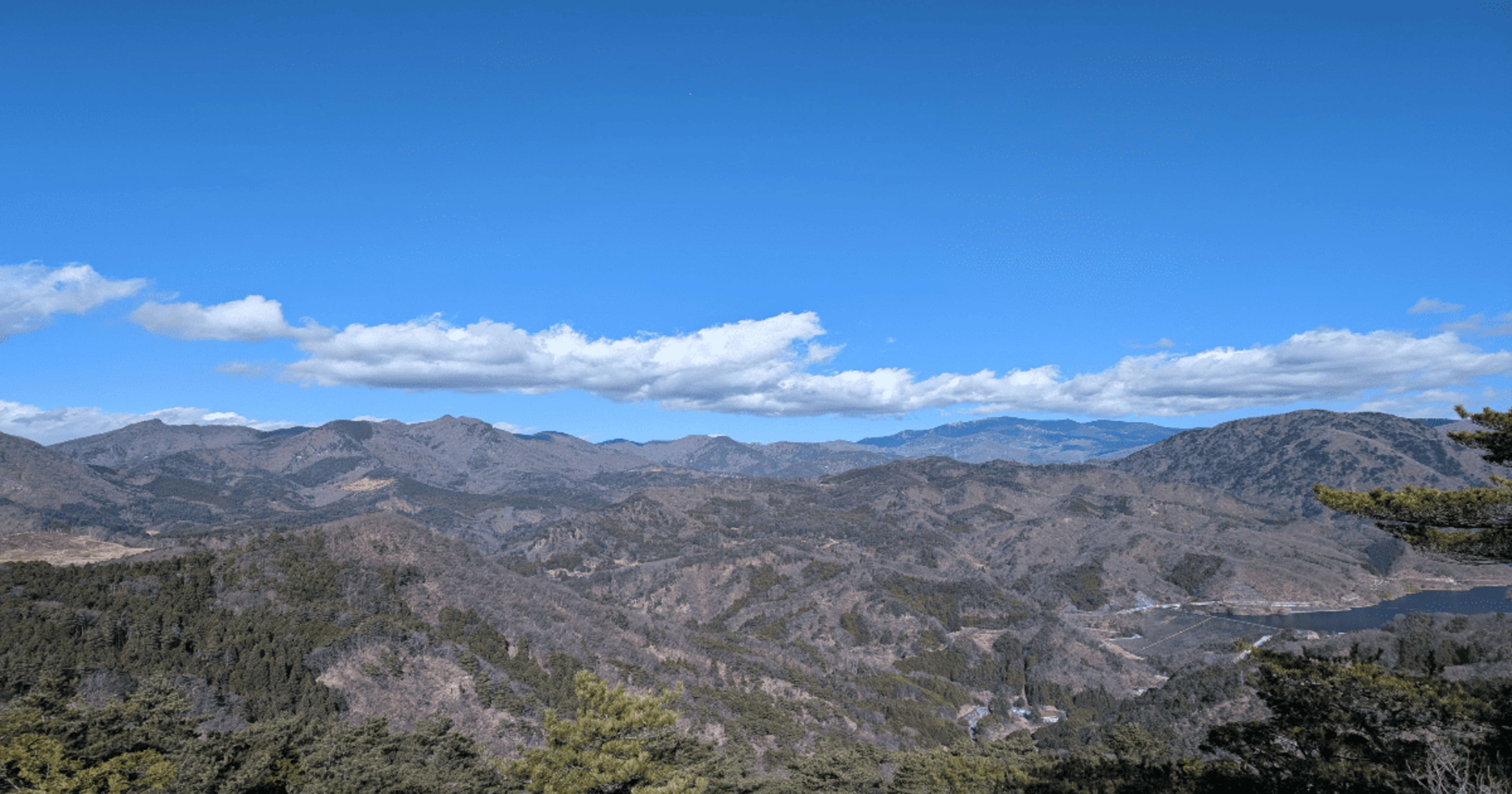 西日本営業部にジョインしました、鈴木です