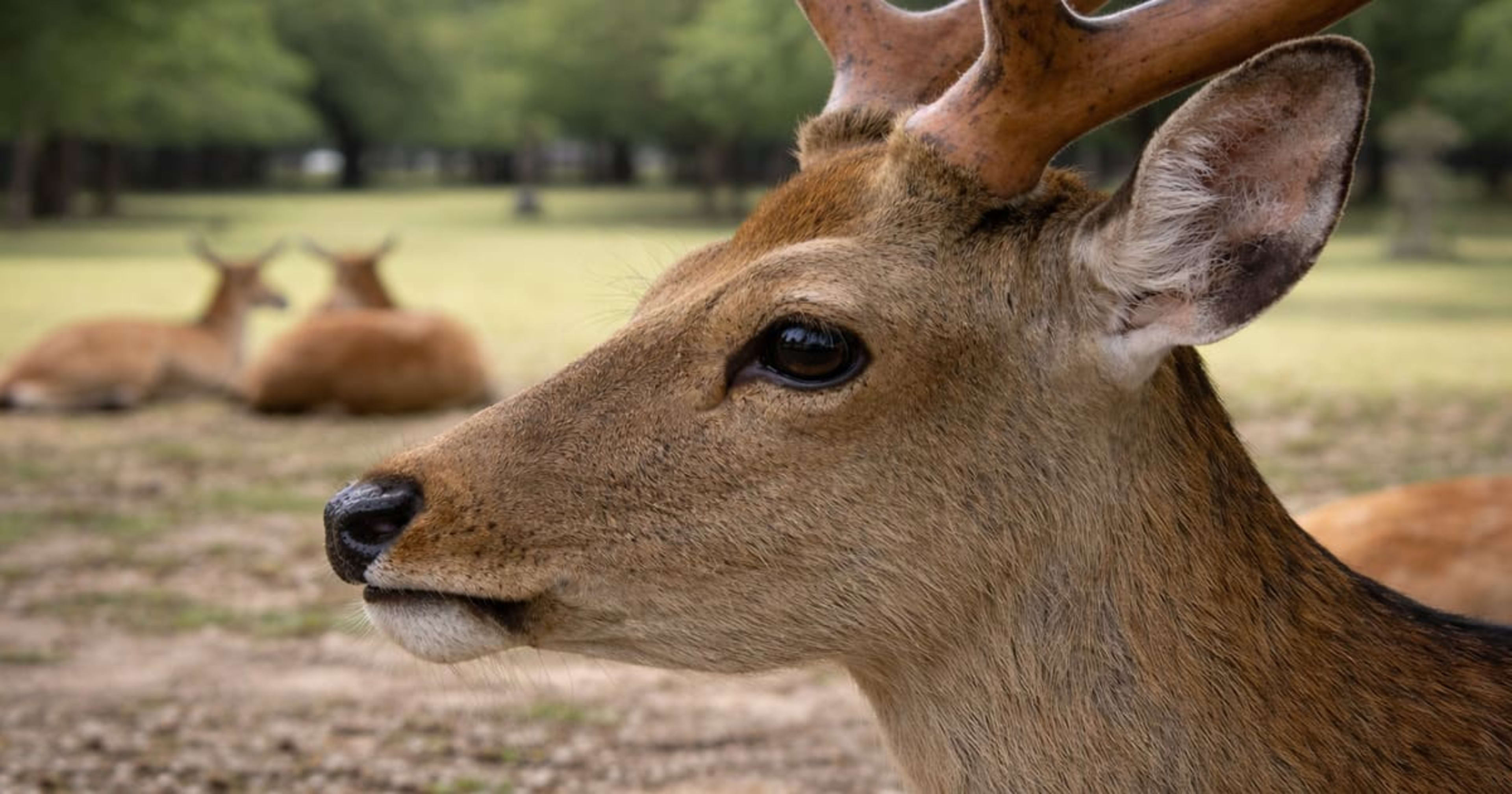 AI事業本部にジョインしました田中です。