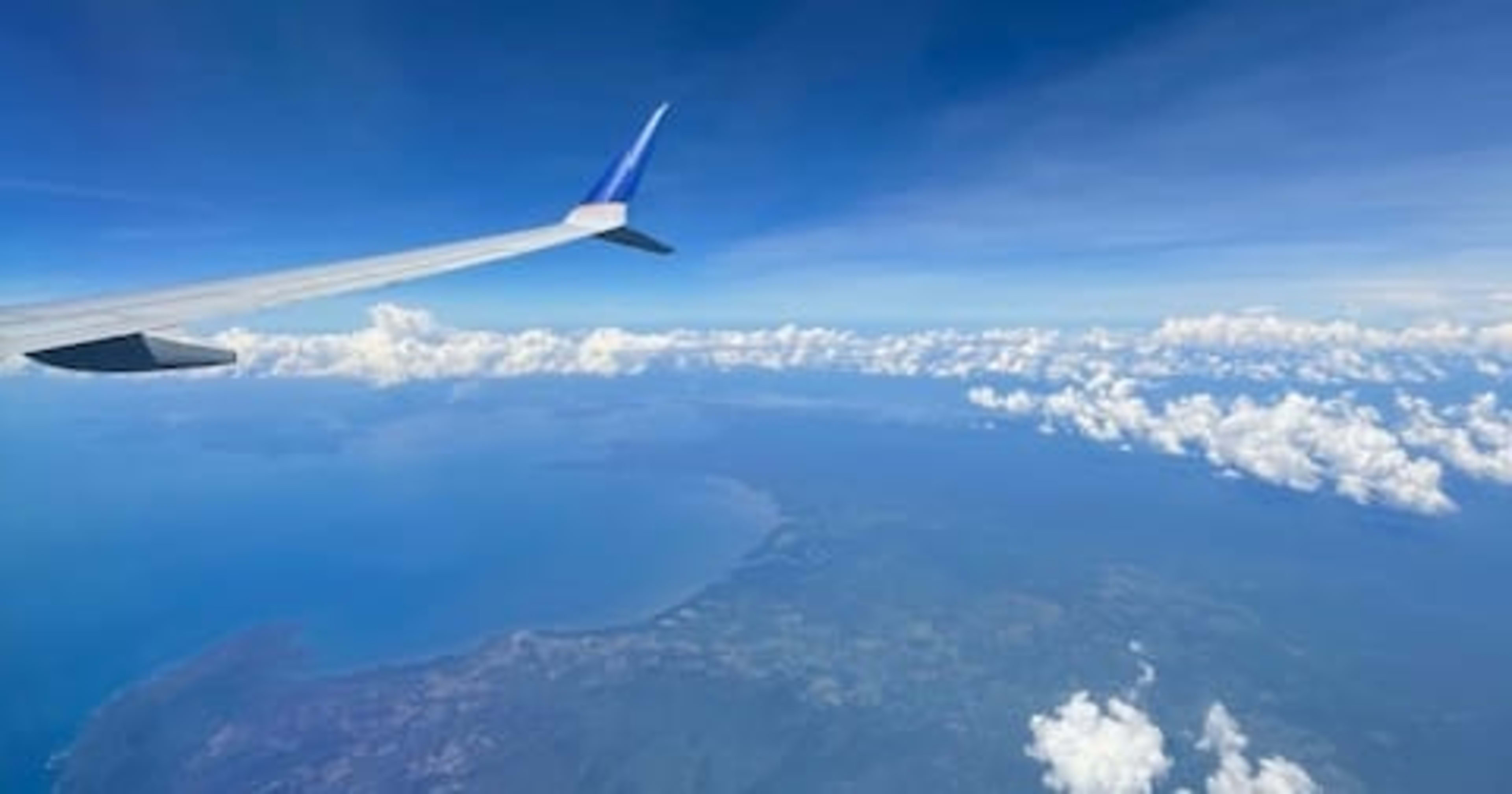 営業統括本部マーケティング企画室にジョインした、しおんです!