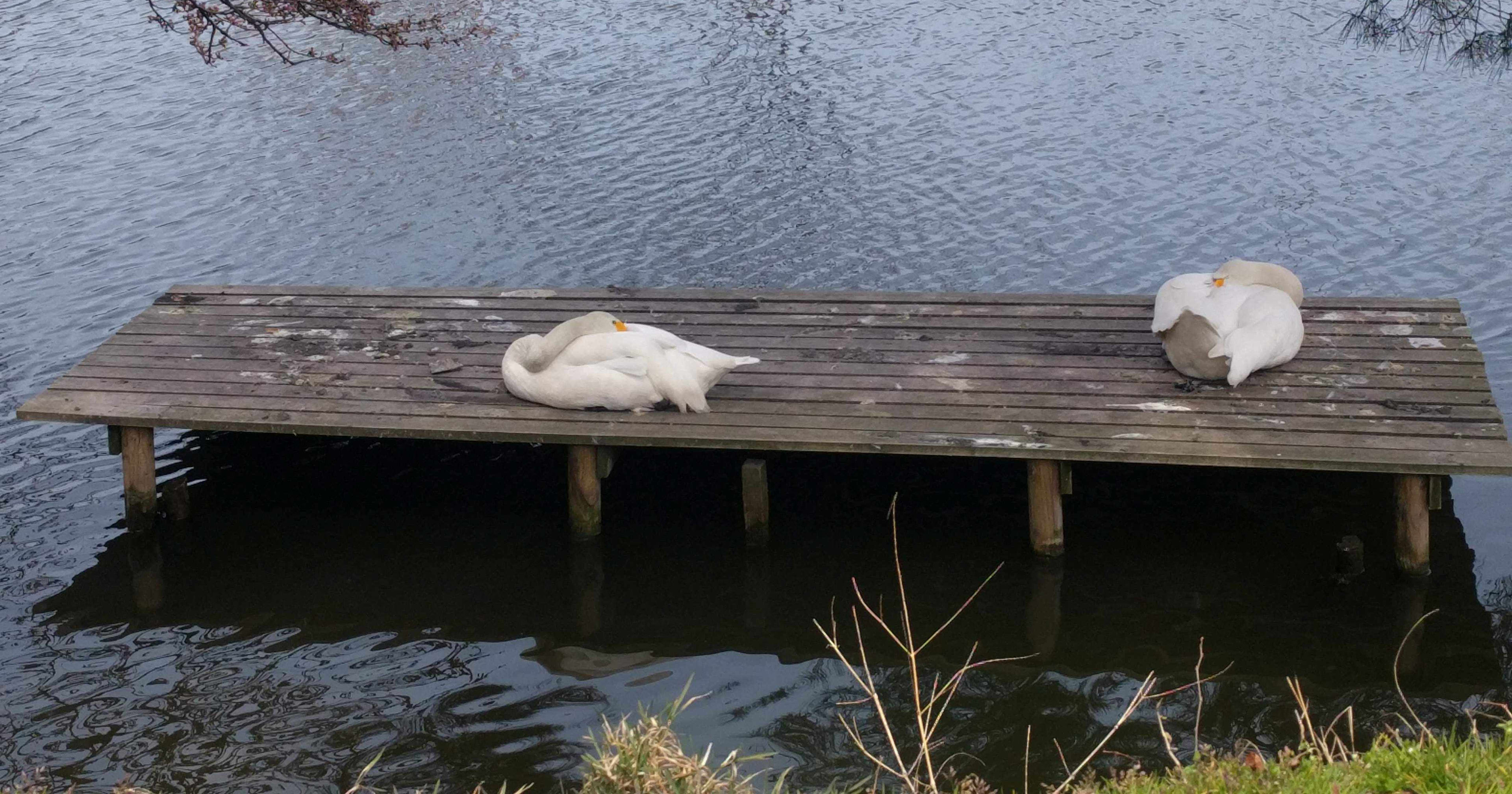 クラウド事業本部 運用イノベーション部にジョインしました齋藤です！