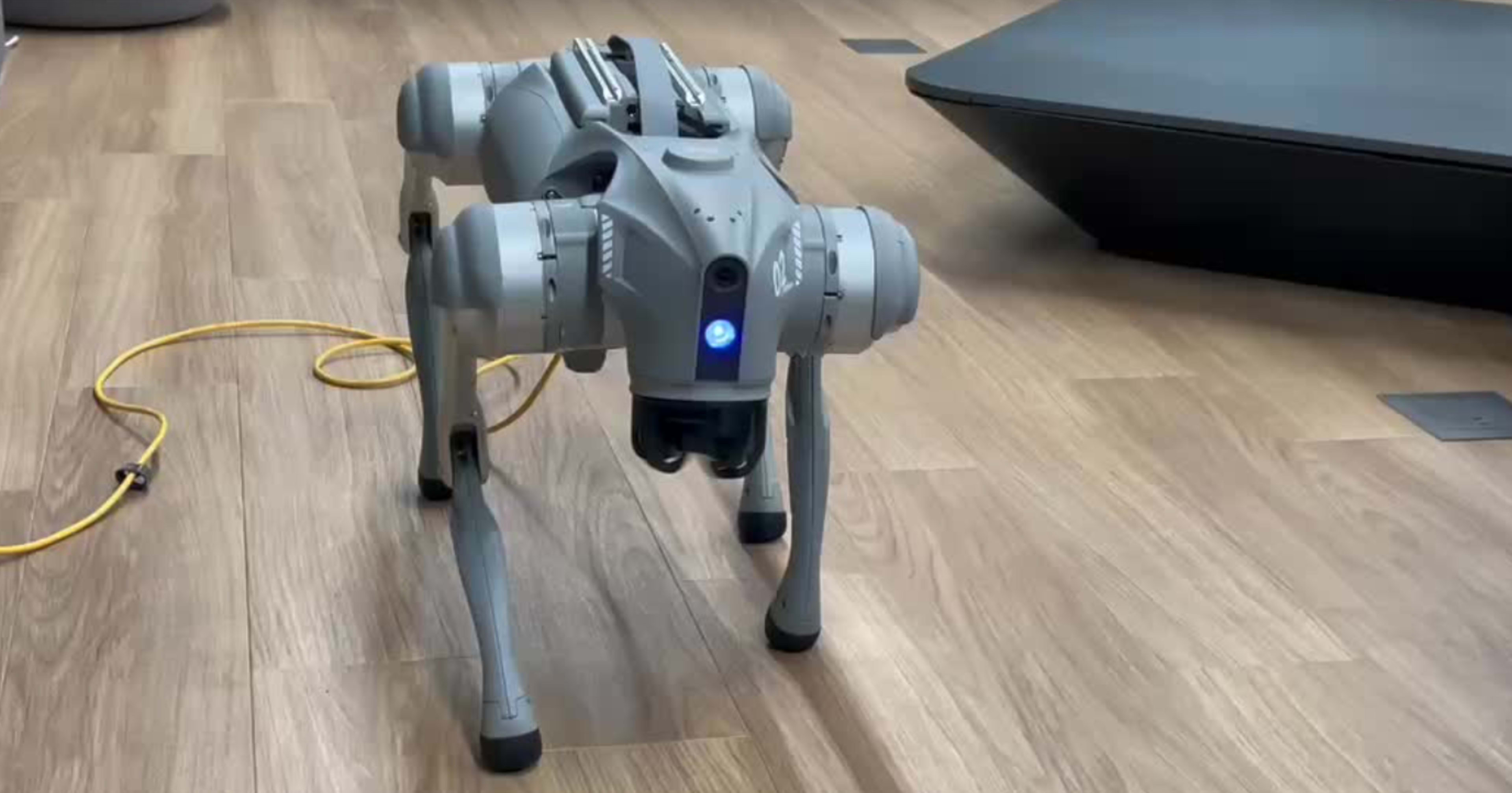 犬型ロボット Unitree Go2 の Python SDK をセットアップして動かしてみた