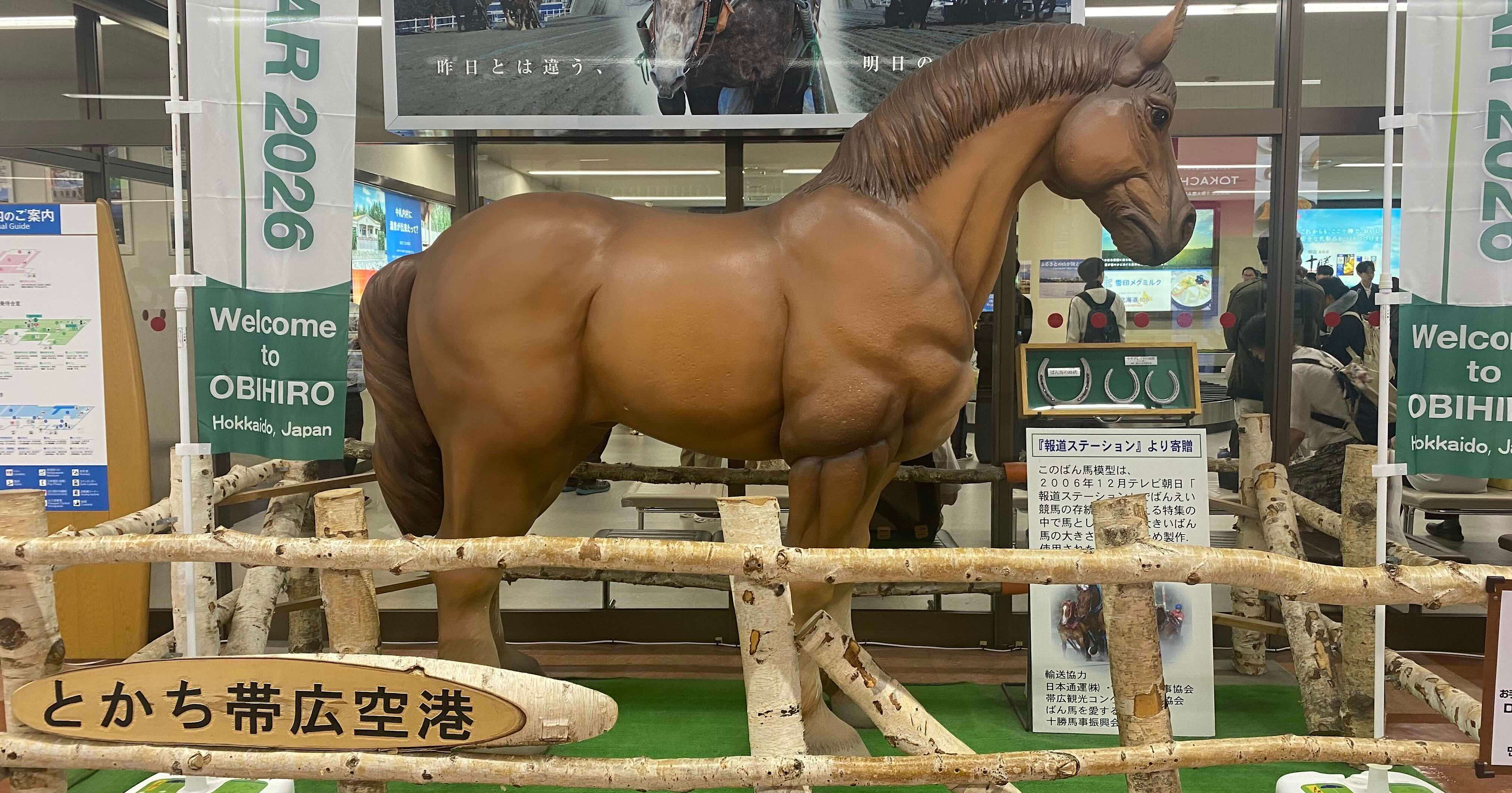 クラスメソッドオペレーションズにジョインした橋本です