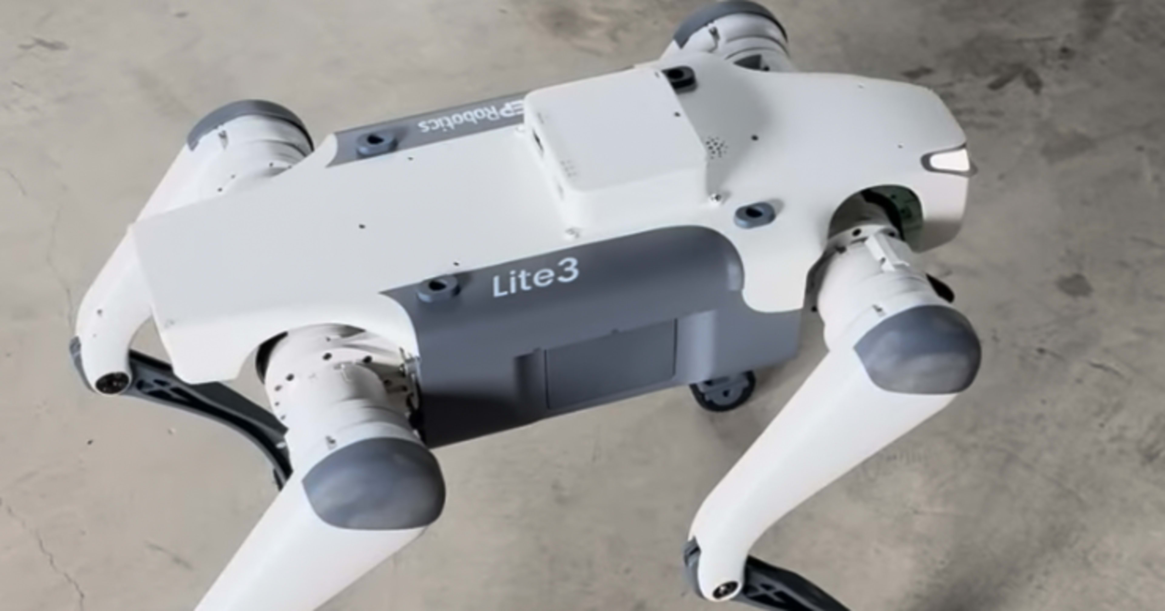 Unitree Go2のライバル機 「DEEP Robotics Lite3」は開発検証機として耐えうるかを考察する