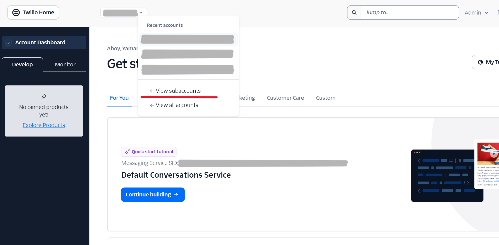 view subaccountsへ移動
