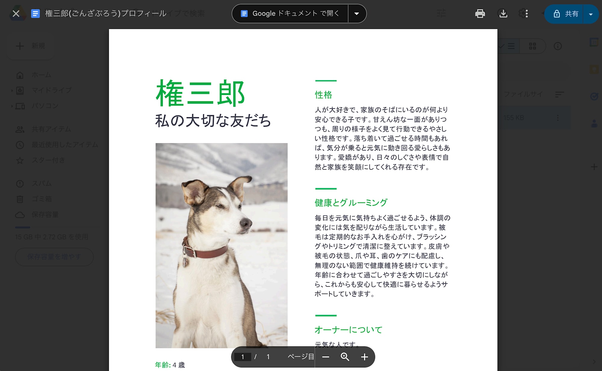 テスト_-_Google_ドライブ-4880649