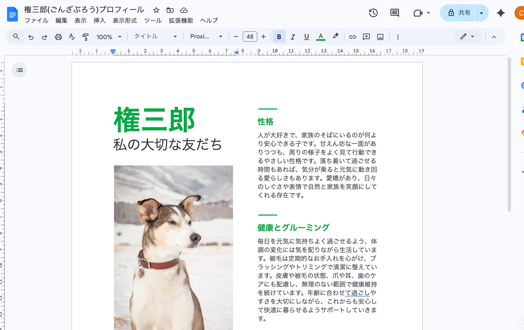 権三郎_ごんざぶろう_プロフィール_-_Google_ドキュメント