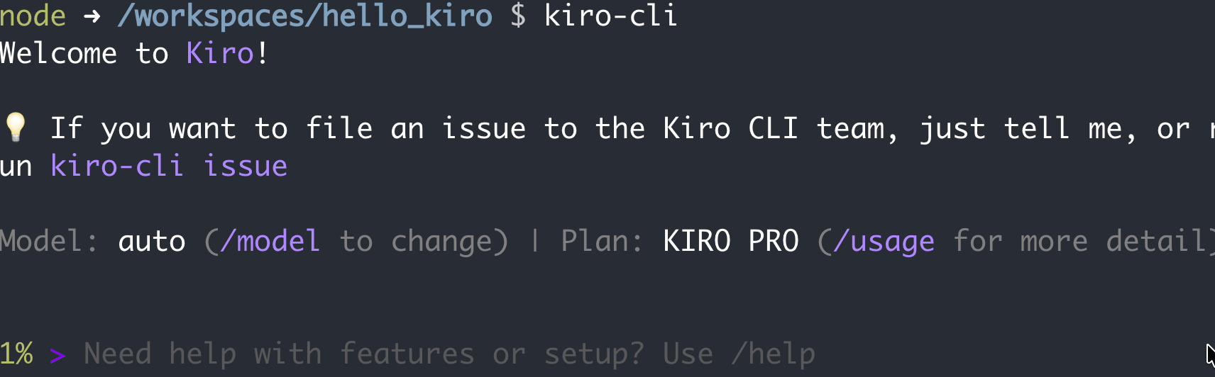 kiro-cli5