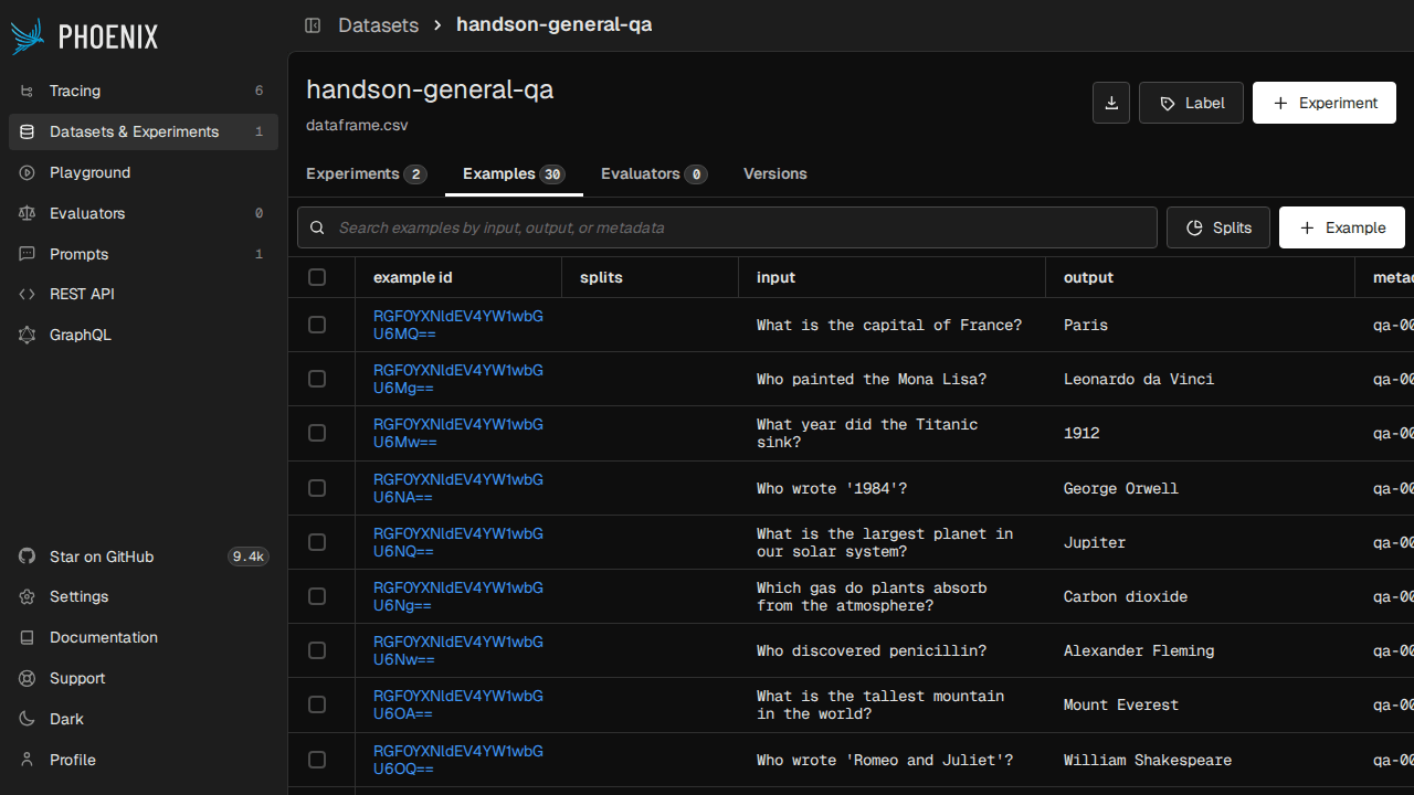 handson-general-qa データセットの 30 examples（input / output / metadata が並ぶ）
