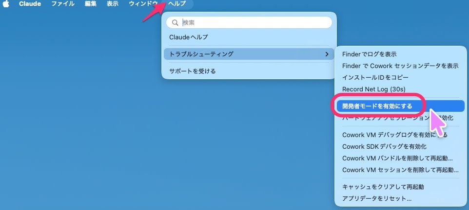 開発モード有効