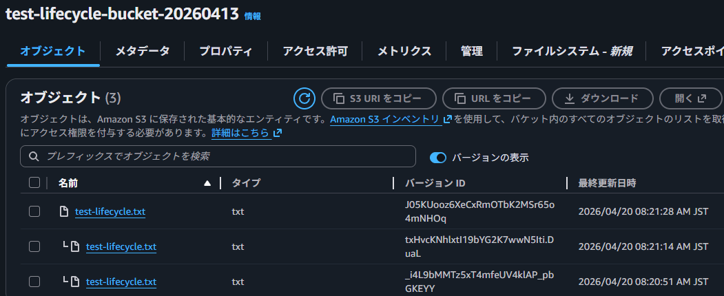 ②オブジェクト_アップロード後9時過ぎ
