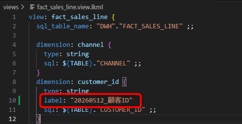 looker-extention-vscode-preview-tryiit-no8