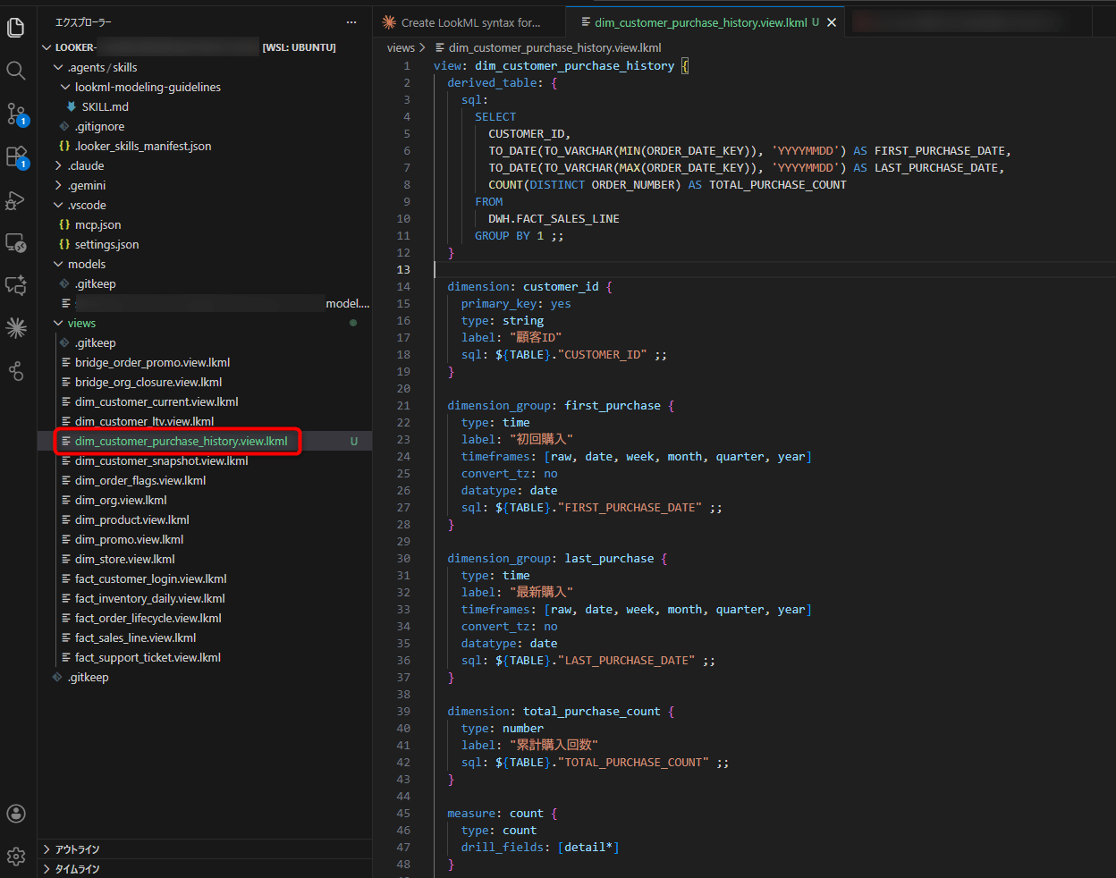 looker-extention-vscode-preview-tryiit-no13