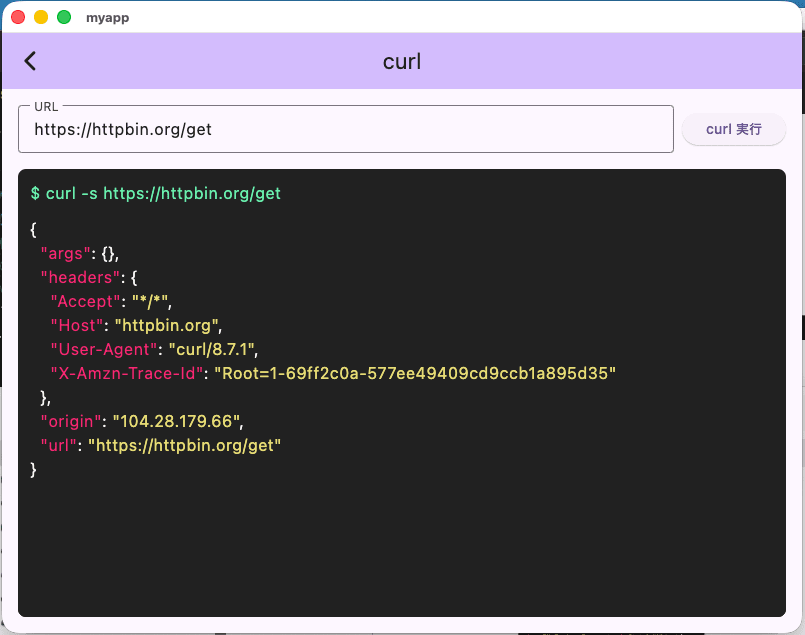 260516_demo1-06-curl
