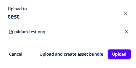 11_upload_dialog-with-bundle-option