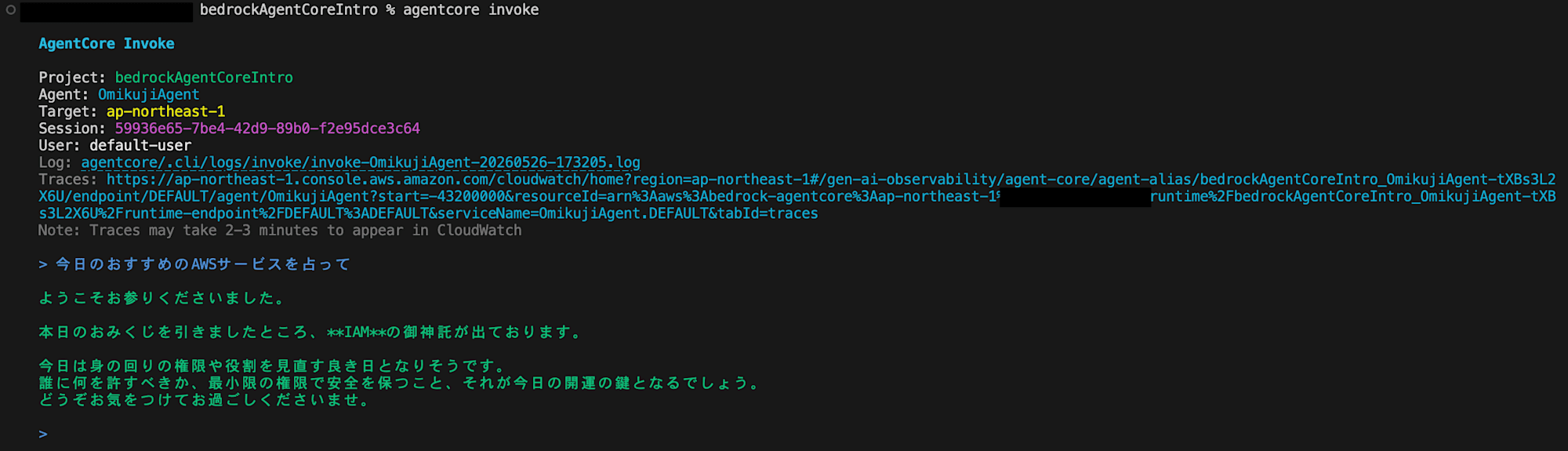 image10-argondev22-bedrock-agent-core-cli-intro