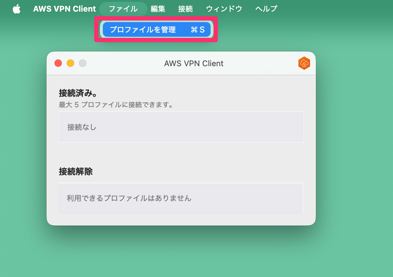 vpn1