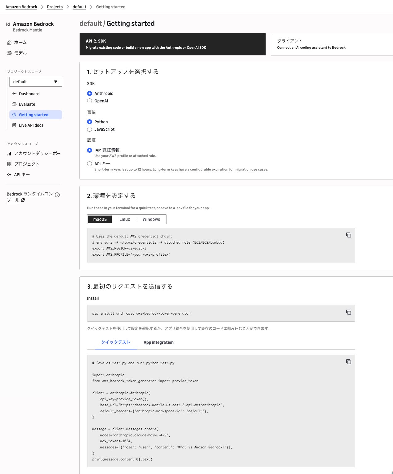 SDK設定画面（Anthropic + Python + IAM）