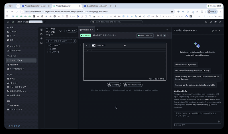 20260609-amazon-sagemaker-data-agent-bdc-1