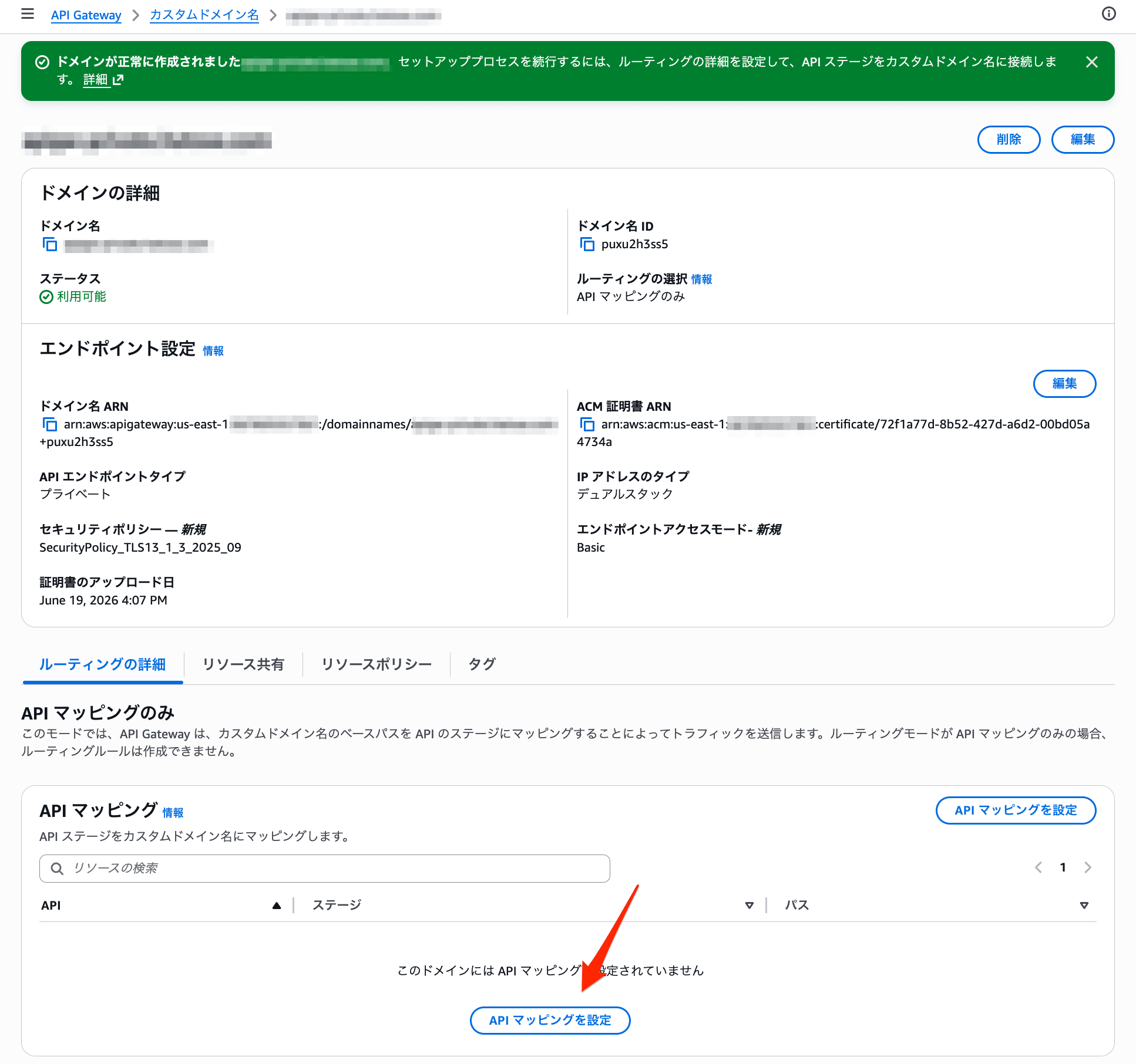 API Gateway Private API Custom Domain Third Party DNS 4