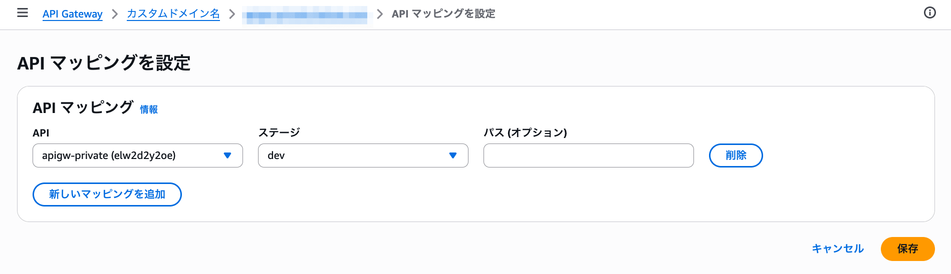 API Gateway Private API Custom Domain Third Party DNS 6