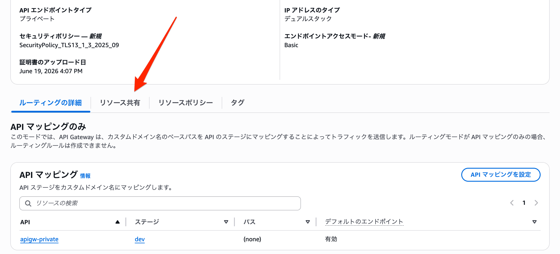API Gateway Private API Custom Domain Third Party DNS 7
