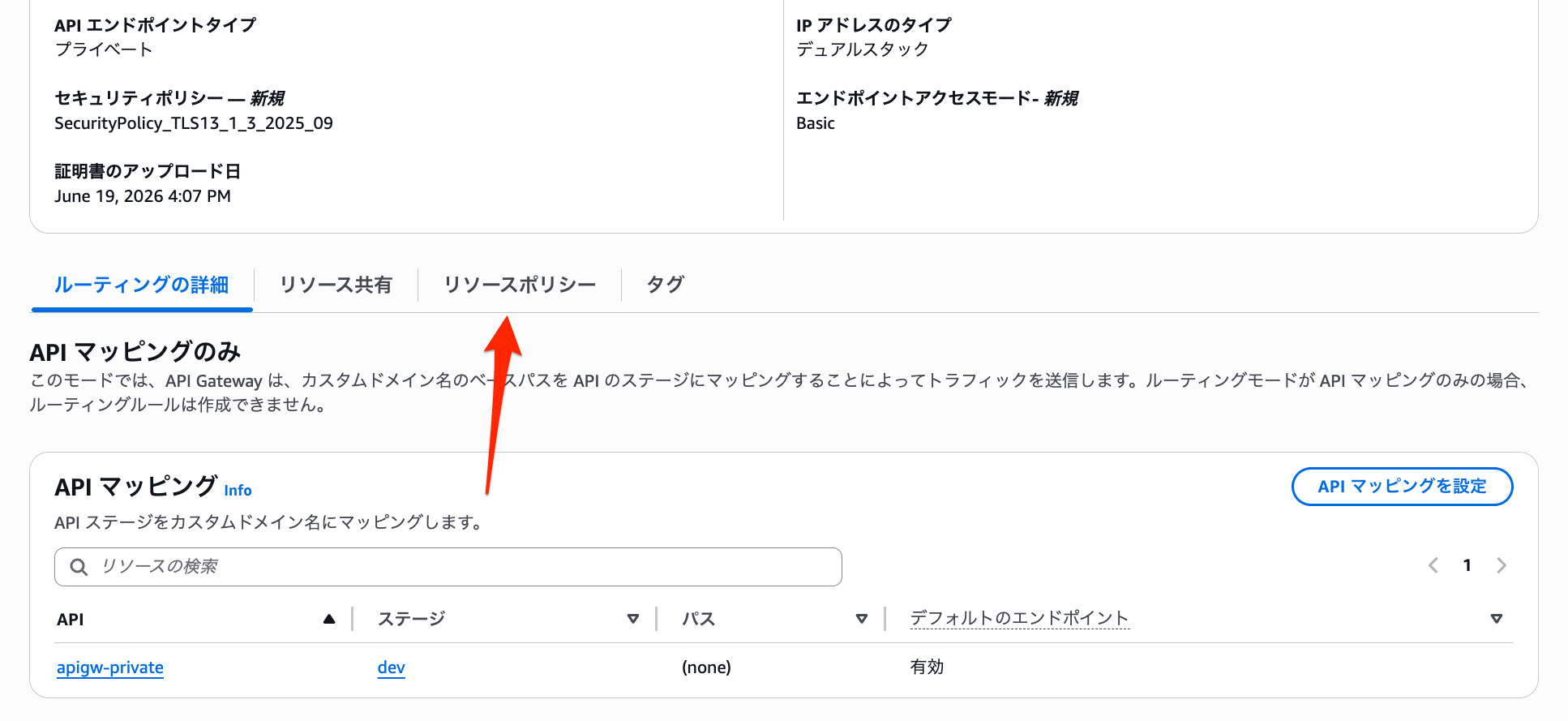 API Gateway Private API Custom Domain Third Party DNS 10