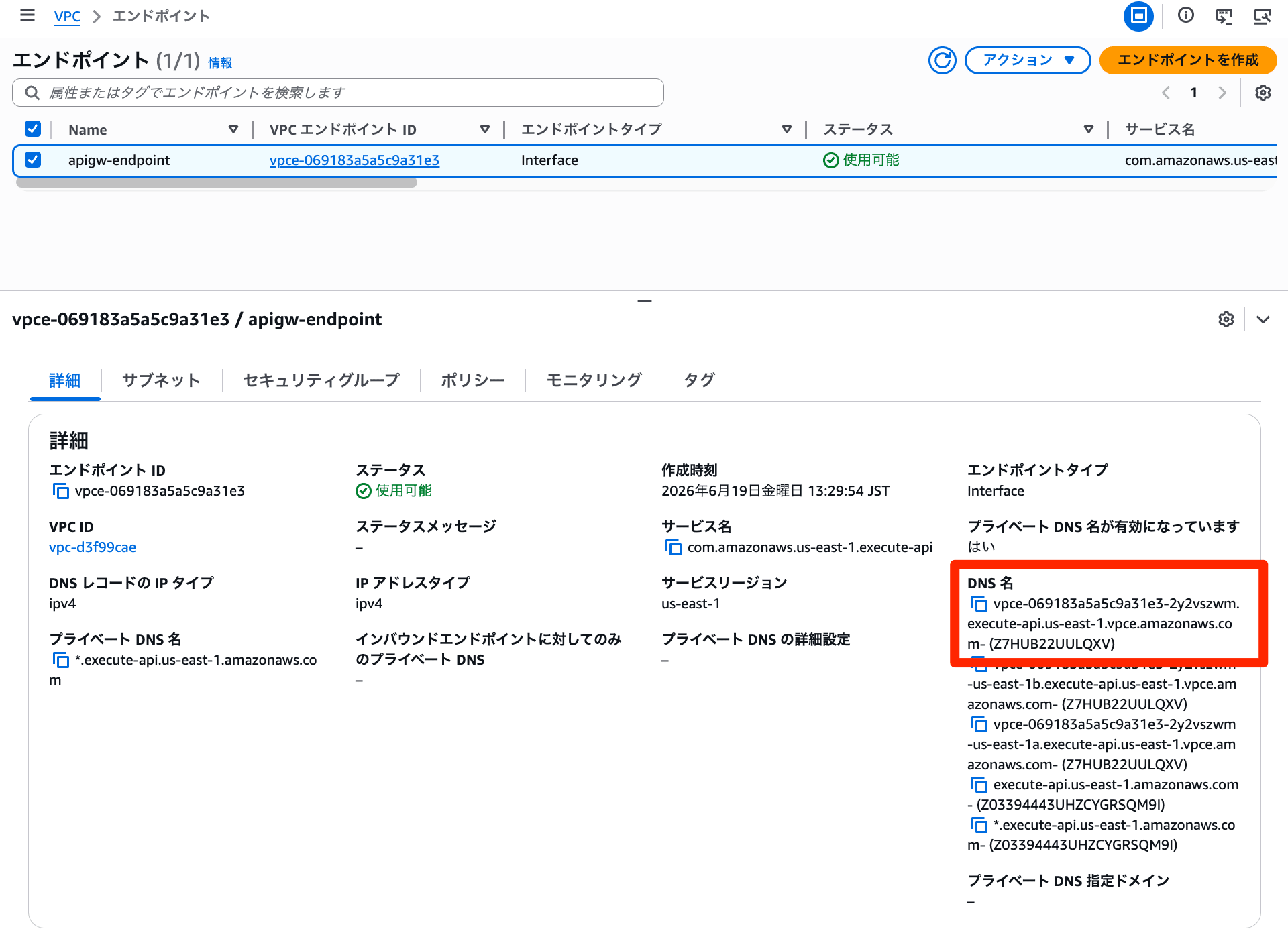 API Gateway Private API Custom Domain Third Party DNS 13
