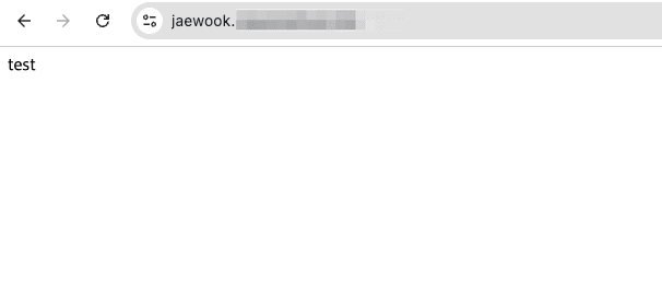 jaewook.도메인.com 접속 결과