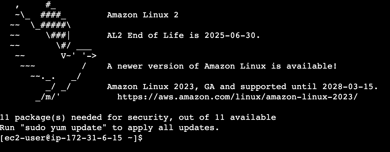 Amazon_Linux2_bird