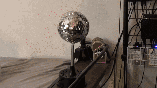 1000005604 (1)